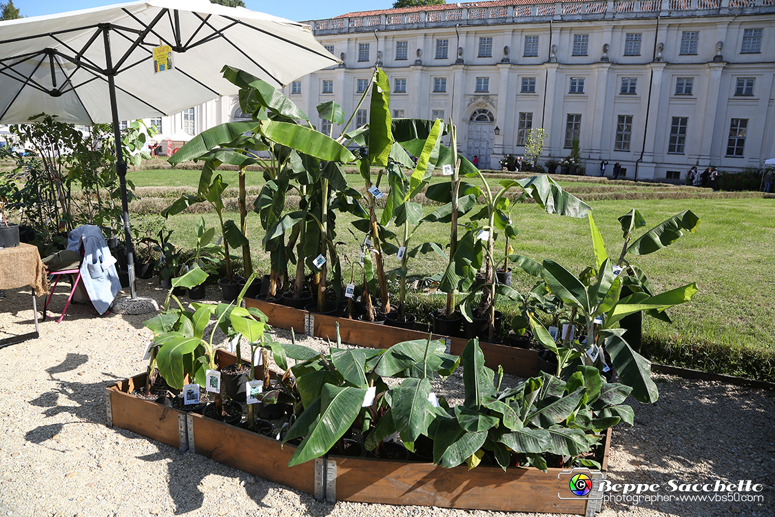 VBS_2446 - FloReal 2021 alla Palazzina di Caccia di Stupinigi.jpg